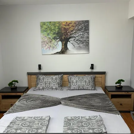 One Bedroom Moni *