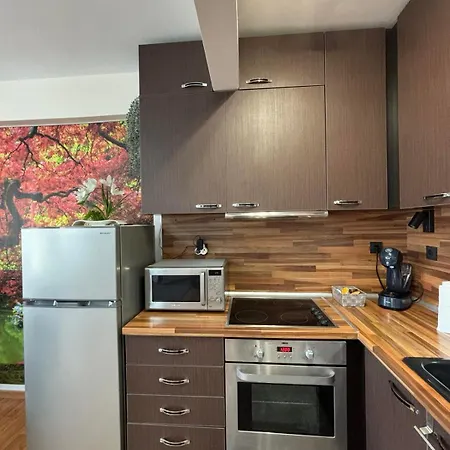 One Bedroom Moni Sveti Vlas